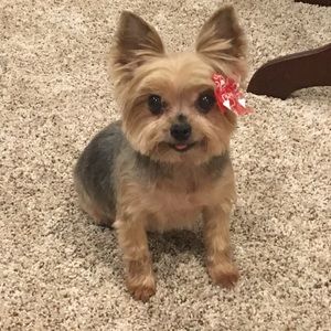 Meet your Posher, Kayla